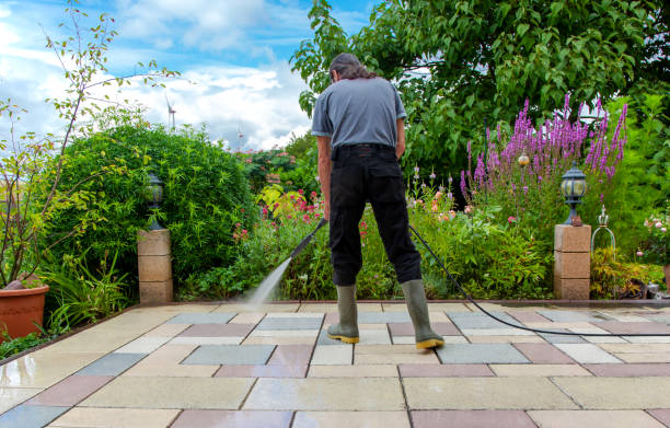 Best Animal Enclosure Cleaning  in Payson, UT